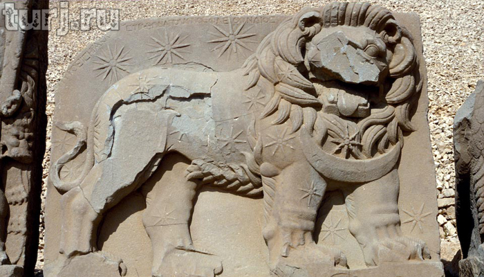 Каменный гороскоп Антиоха Теоса на Западной террасе (лев из комагены фото)